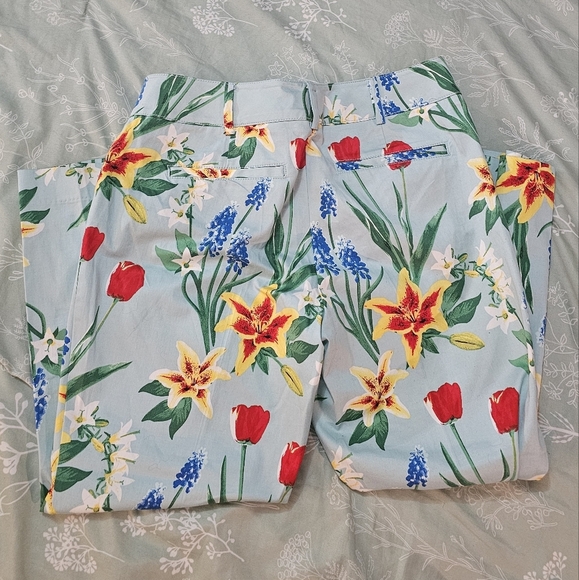 New York & Company Floral Print Capris - Red and Green on Light Blue Size 6 - Picture 8 of 11